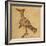 Hoopoe-Aristotle ibn Bakhtishu-Framed Giclee Print