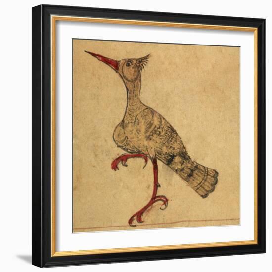 Hoopoe-Aristotle ibn Bakhtishu-Framed Giclee Print