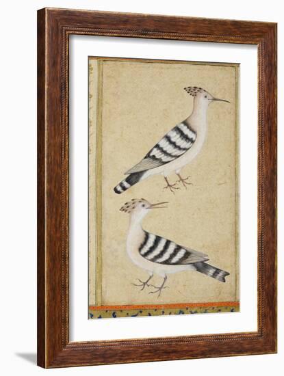 Hoopoes, C.1590-null-Framed Giclee Print