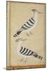 Hoopoes, C.1590-null-Mounted Giclee Print