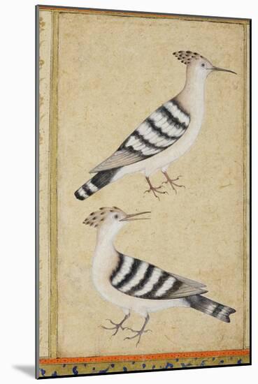 Hoopoes, C.1590-null-Mounted Giclee Print