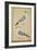 Hoopoes, C.1590-null-Framed Giclee Print