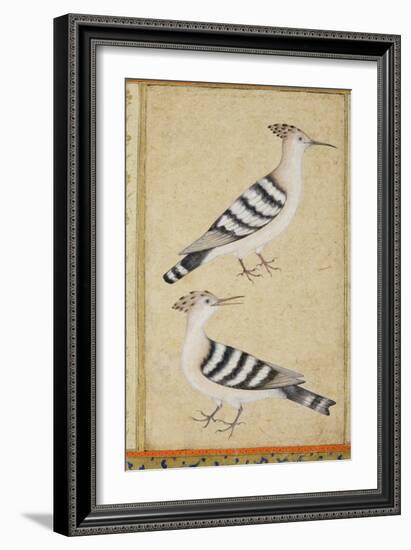 Hoopoes, C.1590-null-Framed Giclee Print