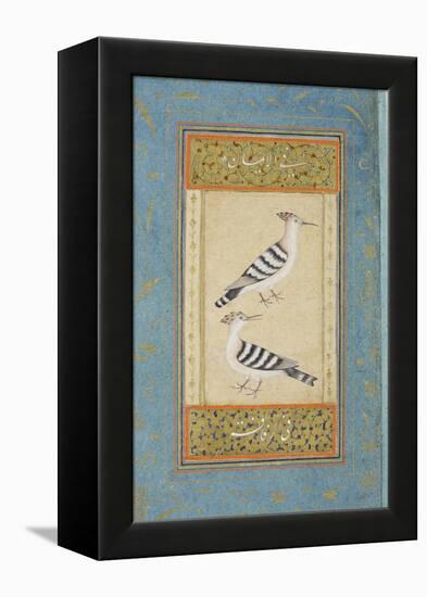 Hoopoes, C.1590-null-Framed Premier Image Canvas