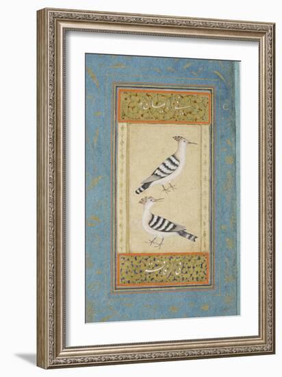 Hoopoes, C.1590-null-Framed Giclee Print