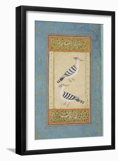 Hoopoes, C.1590-null-Framed Giclee Print