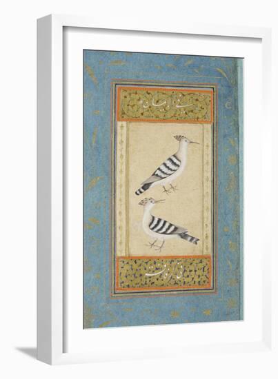 Hoopoes, C.1590-null-Framed Giclee Print