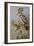 Hoopoes-Archibald Thorburn-Framed Giclee Print