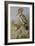 Hoopoes-Archibald Thorburn-Framed Giclee Print