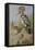 Hoopoes-Archibald Thorburn-Framed Premier Image Canvas