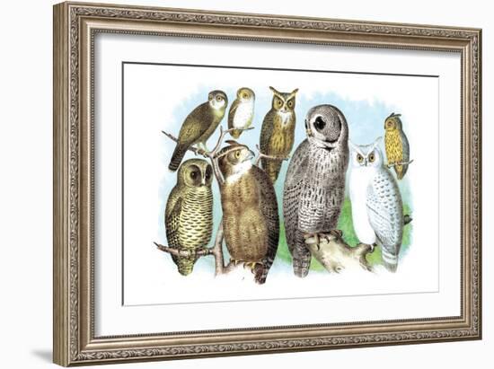 Hoot of Owls-Theodore Jasper-Framed Art Print