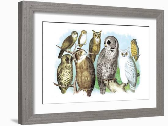 Hoot of Owls-Theodore Jasper-Framed Art Print