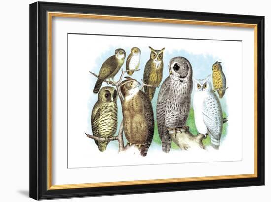 Hoot of Owls-Theodore Jasper-Framed Art Print