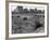 Hooverville in Central Park 1933-null-Framed Photographic Print