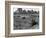 Hooverville in Central Park 1933-null-Framed Photographic Print