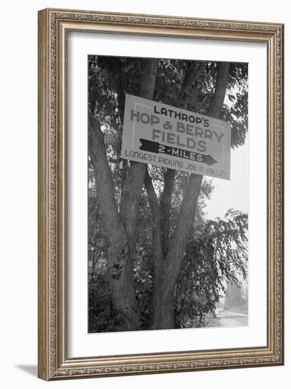 Hop and Berry Fields-Dorothea Lange-Framed Art Print