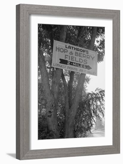 Hop and Berry Fields-Dorothea Lange-Framed Art Print