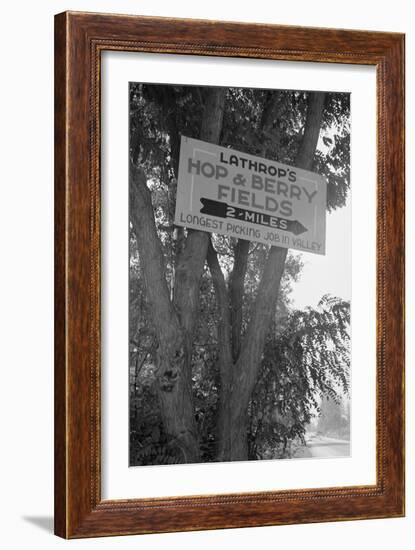 Hop and Berry Fields-Dorothea Lange-Framed Art Print