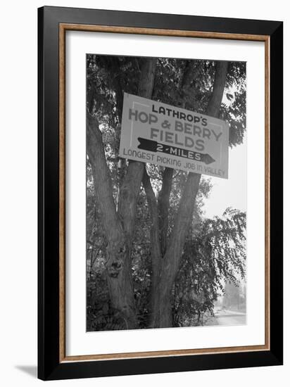 Hop and Berry Fields-Dorothea Lange-Framed Art Print