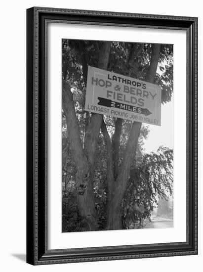 Hop and Berry Fields-Dorothea Lange-Framed Art Print