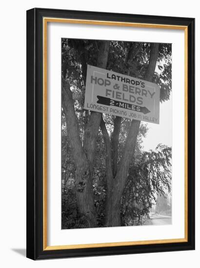 Hop and Berry Fields-Dorothea Lange-Framed Art Print