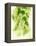 Hop Cones-Petr Gross-Framed Premier Image Canvas