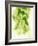 Hop Cones-Petr Gross-Framed Photographic Print