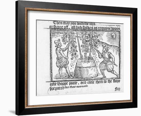 Hop Cultivation, from 'Vade Mecum, a Perfite Platform of a Hoppe Garden' by Reynolde Scot, 1576-English-Framed Giclee Print