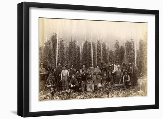 Hop Fields Near Olympia (ca. 1889)-null-Framed Giclee Print