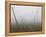 Hop Garden in the Hallertau, Autumn, Fog-Harald Kroiss-Framed Premier Image Canvas