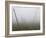 Hop Garden in the Hallertau, Autumn, Fog-Harald Kroiss-Framed Photographic Print