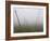 Hop Garden in the Hallertau, Autumn, Fog-Harald Kroiss-Framed Photographic Print