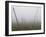 Hop Garden in the Hallertau, Autumn, Fog-Harald Kroiss-Framed Photographic Print