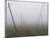 Hop Garden in the Hallertau, Autumn, Fog-Harald Kroiss-Mounted Photographic Print