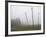 Hop Garden in the Hallertau, Autumn, Fog-Harald Kroiss-Framed Photographic Print