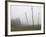 Hop Garden in the Hallertau, Autumn, Fog-Harald Kroiss-Framed Photographic Print