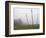 Hop Garden in the Hallertau, Autumn, Fog-Harald Kroiss-Framed Photographic Print