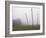 Hop Garden in the Hallertau, Autumn, Fog-Harald Kroiss-Framed Photographic Print