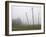 Hop Garden in the Hallertau, Autumn, Fog-Harald Kroiss-Framed Photographic Print