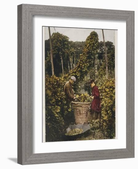 Hop Pickers 1907-null-Framed Photographic Print