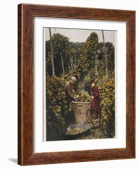 Hop Pickers 1907-null-Framed Photographic Print