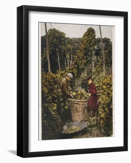 Hop Pickers 1907-null-Framed Photographic Print