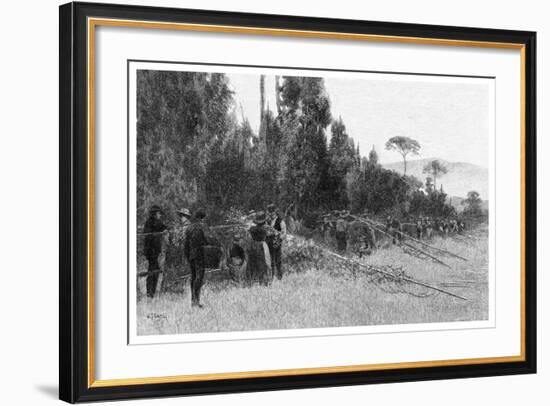 Hop Picking Near Bairnsdale, Australia, 1886-null-Framed Giclee Print