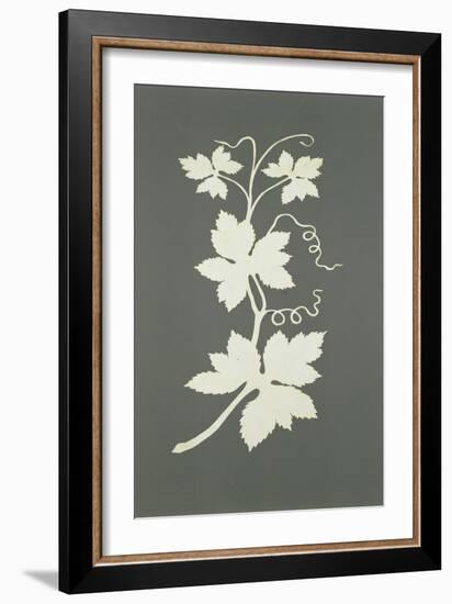 Hop plant-Philipp Otto Runge-Framed Giclee Print