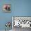 Hop Skip and Jump-Mel Brackstone-Framed Premier Image Canvas displayed on a wall