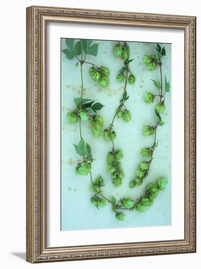 Hop Skip-Den Reader-Framed Photographic Print