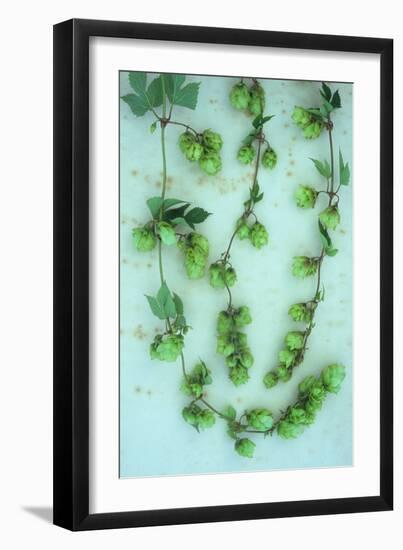 Hop Skip-Den Reader-Framed Photographic Print