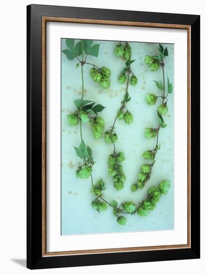 Hop Skip-Den Reader-Framed Photographic Print