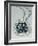 Hope Diamond White-null-Framed Photographic Print