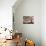 Hope Filled Sunrise-Natasha Wescoat-Giclee Print displayed on a wall